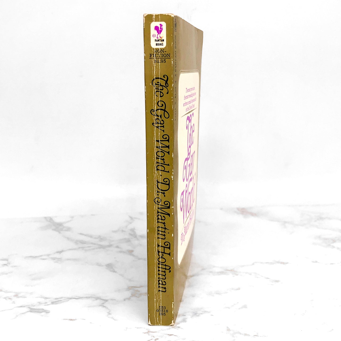 The Gay World: Male Homosexuality & the Social Construction of Evil by Dr. Martin Hoffman [1973 PAPERBACK]