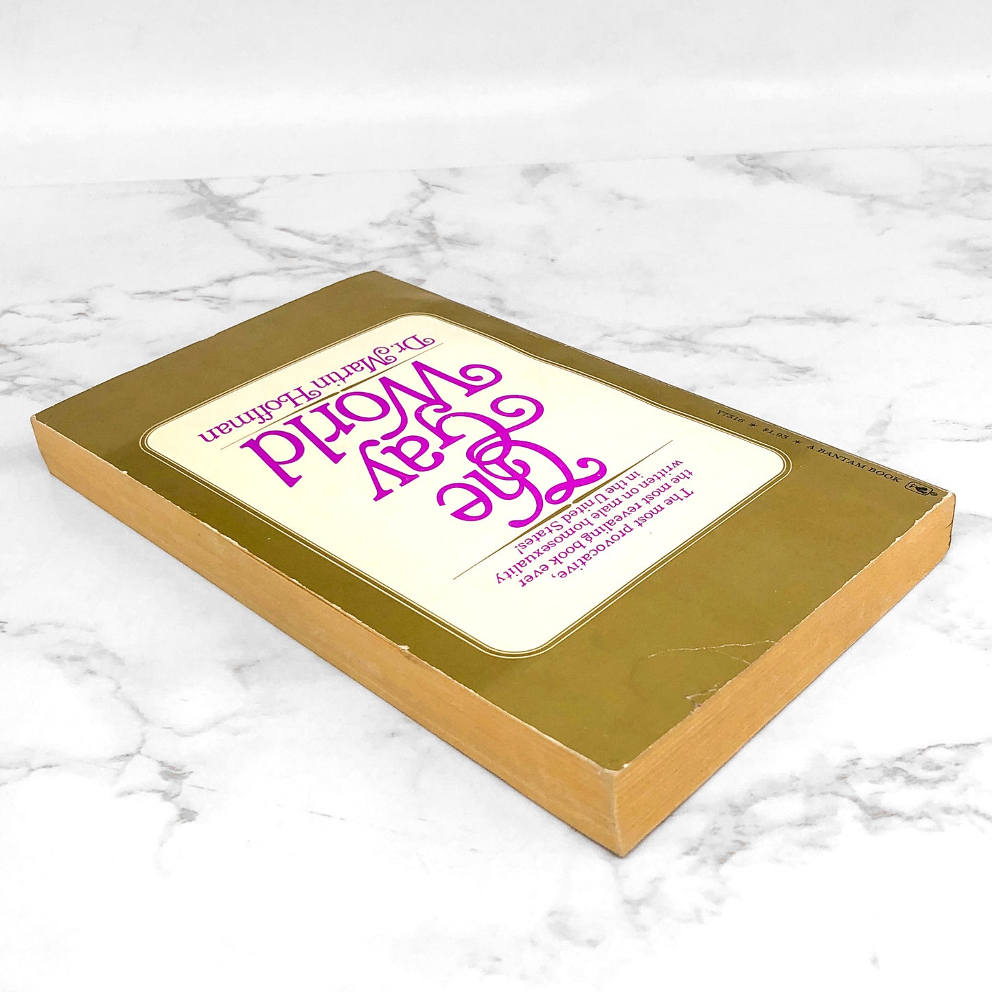 The Gay World: Male Homosexuality & the Social Construction of Evil by Dr. Martin Hoffman [1973 PAPERBACK]