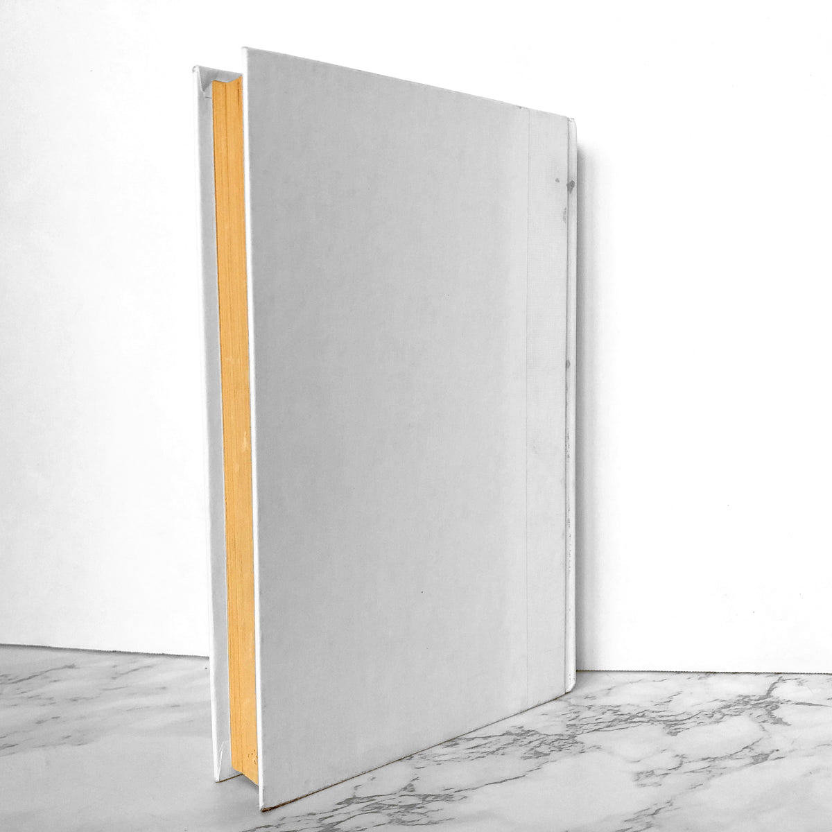 The Ghost by Robert Harris [FIRST EDITION / FIRST PRINTING] - Bookshop Apocalypse