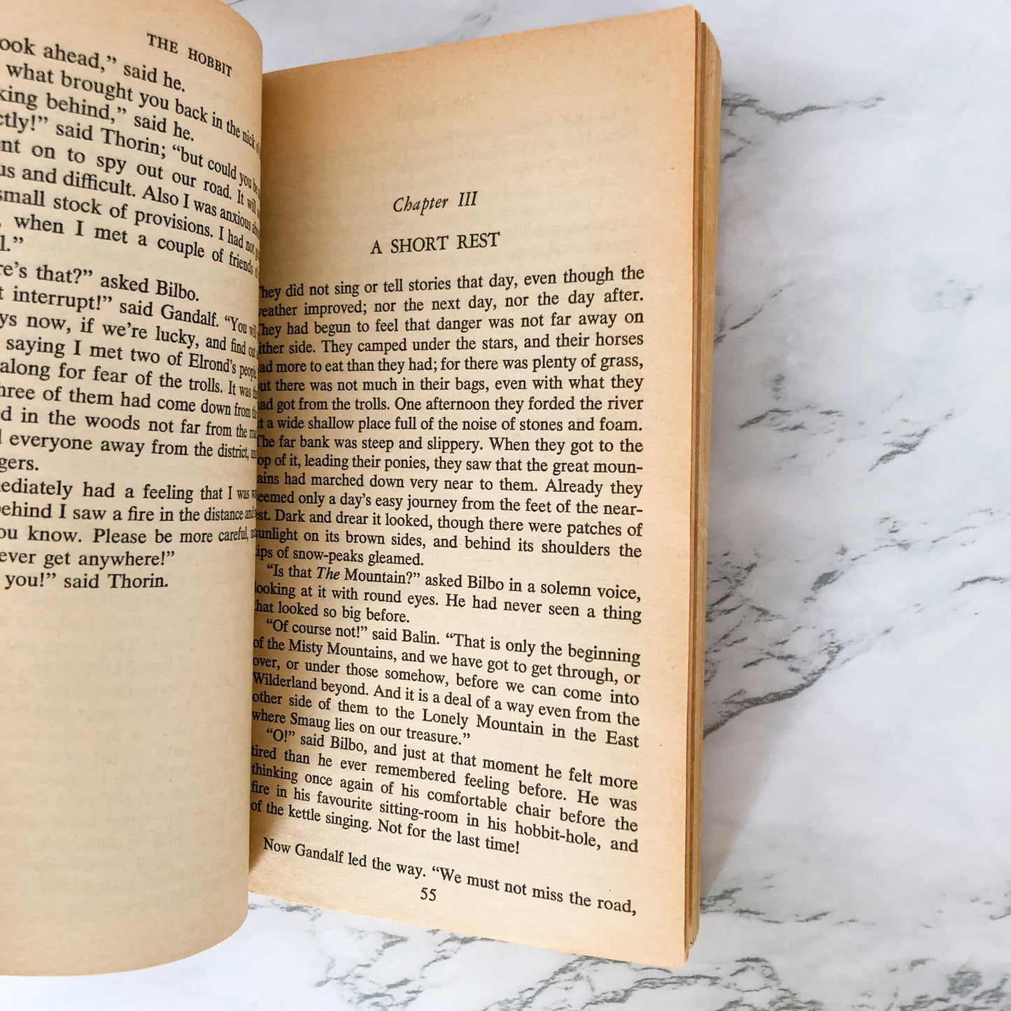 The Hobbit by J.R.R. Tolkien [SECOND PAPERBACK PRINTING / 1965]