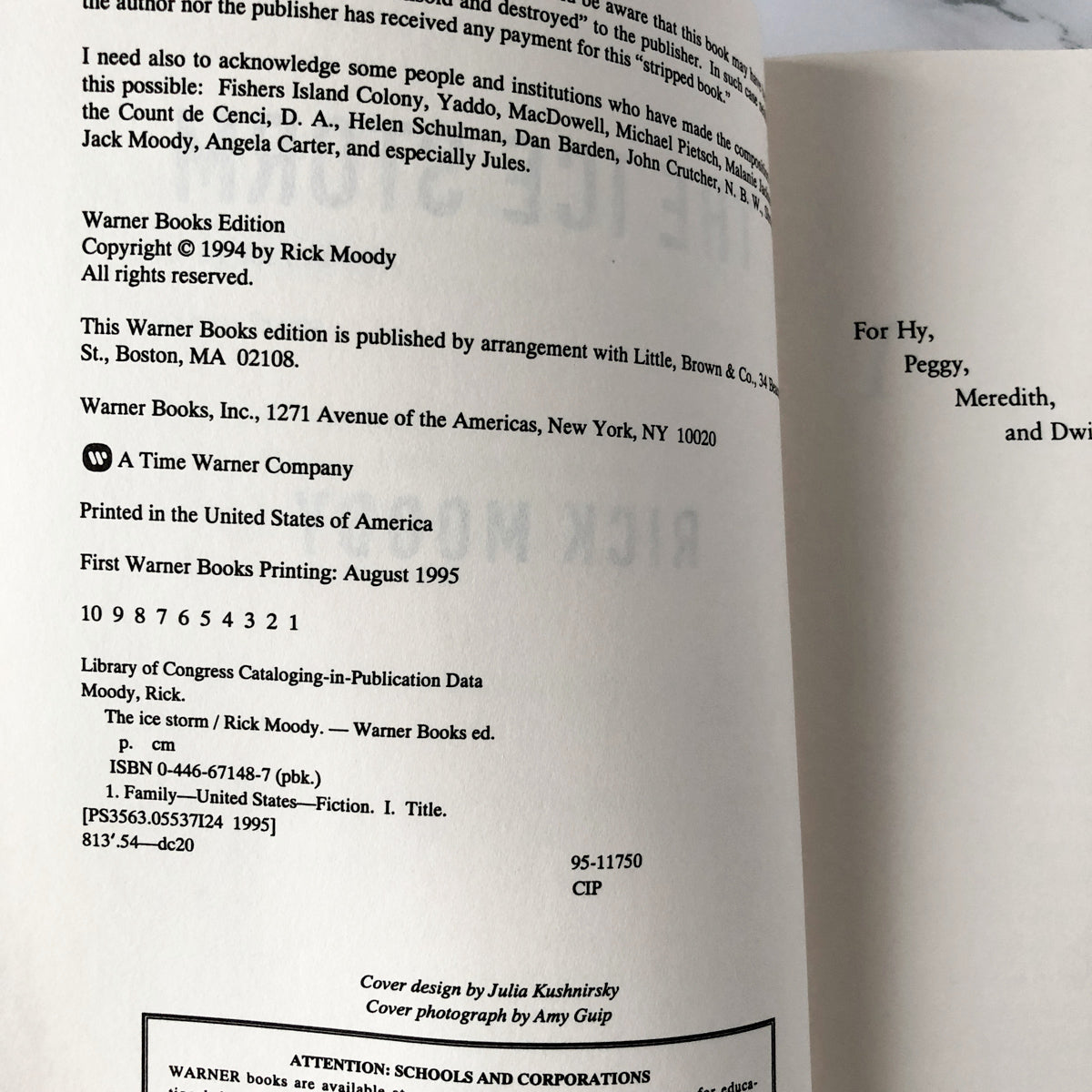 The Ice Storm by Rick Moody [FIRST PAPERBACK PRINTING / 1995] - Bookshop Apocalypse