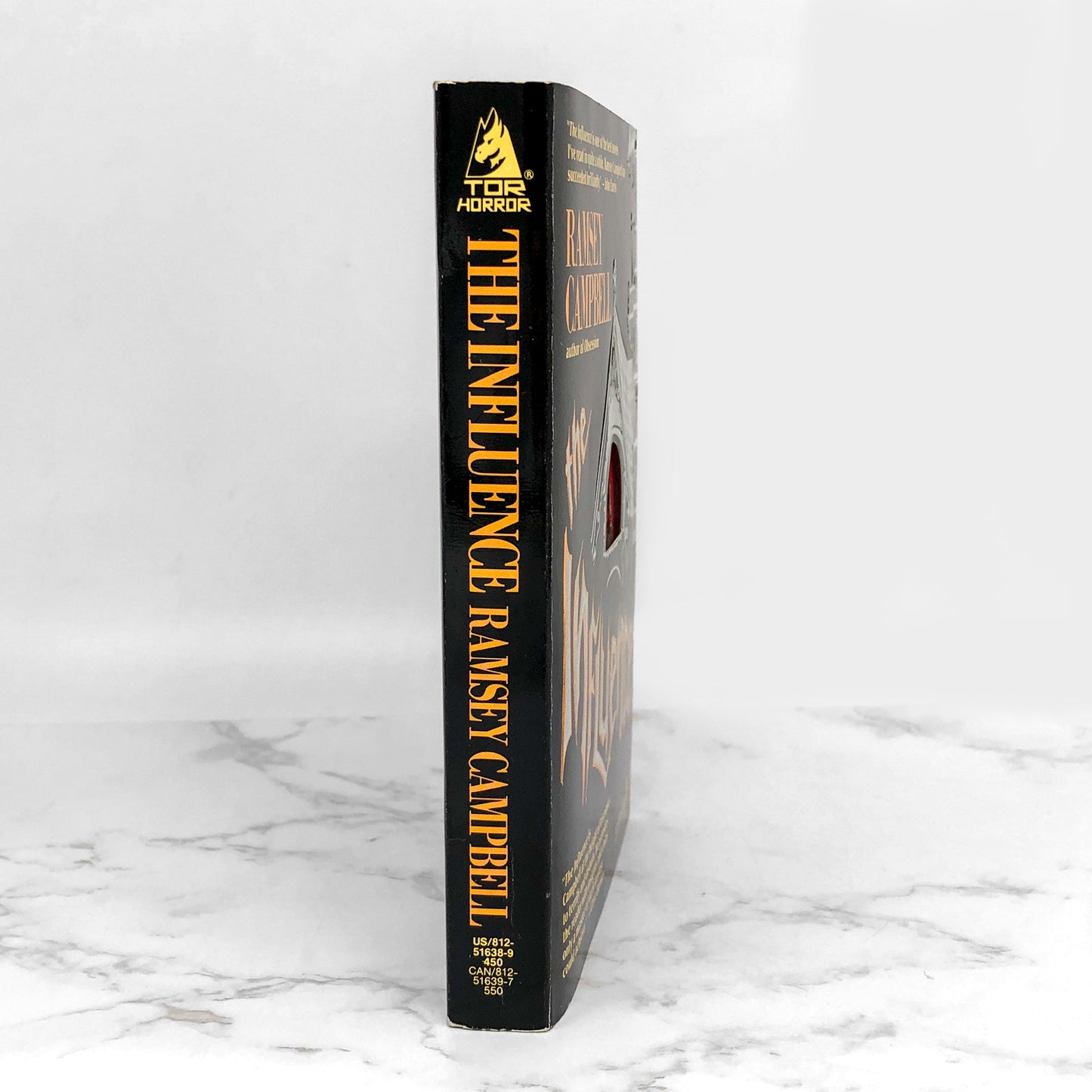 The Influence by Ramsey Campbell [FIRST PAPERBACK PRINTING] 1989 • TOR Horror