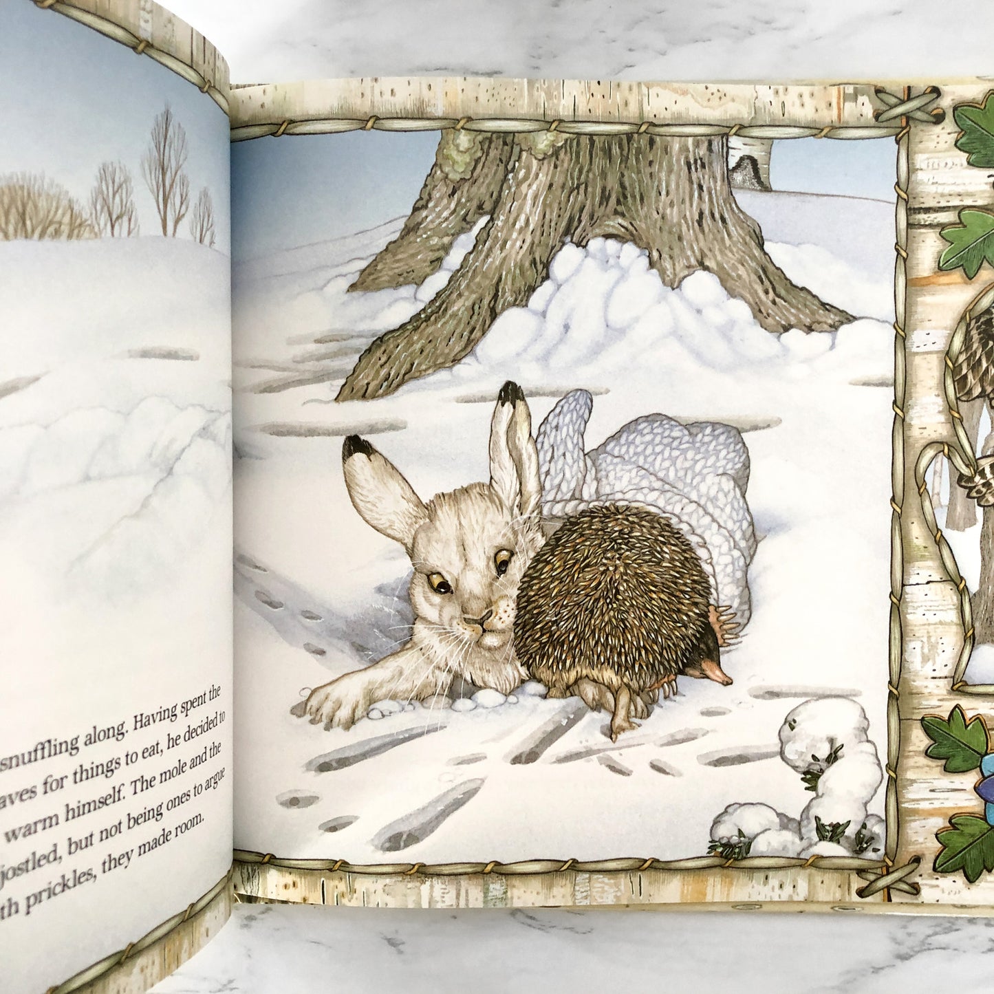 The Mitten by Jan Brett SIGNED! [FIRST EDITION / 1989]