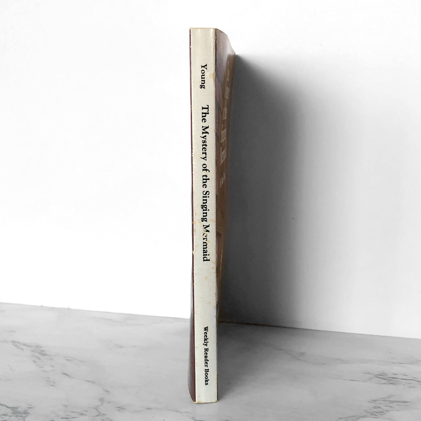 The Mystery of the Singing Mermaid by Ann Young [1986 PAPERBACK]