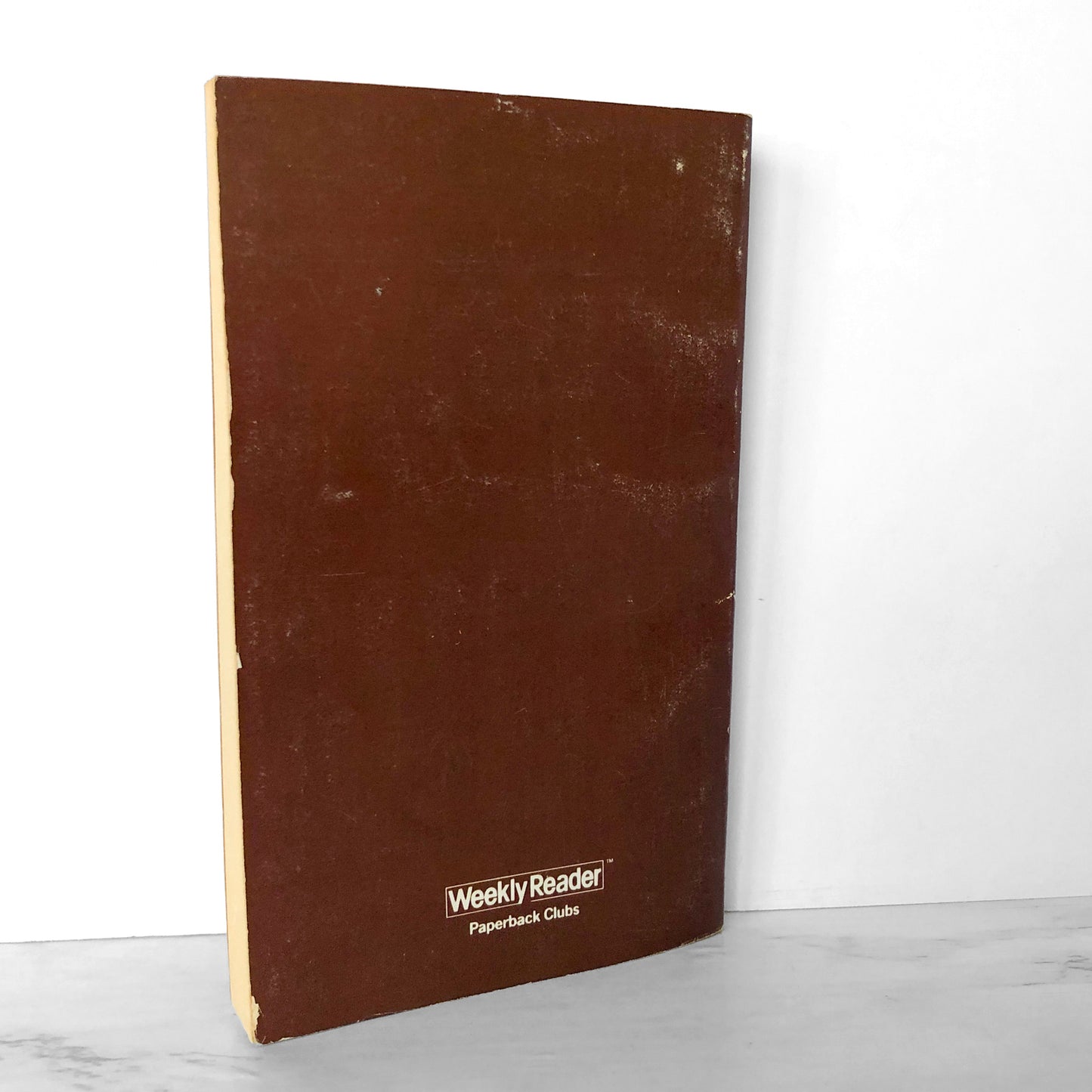 The Mystery of the Singing Mermaid by Ann Young [1986 PAPERBACK]