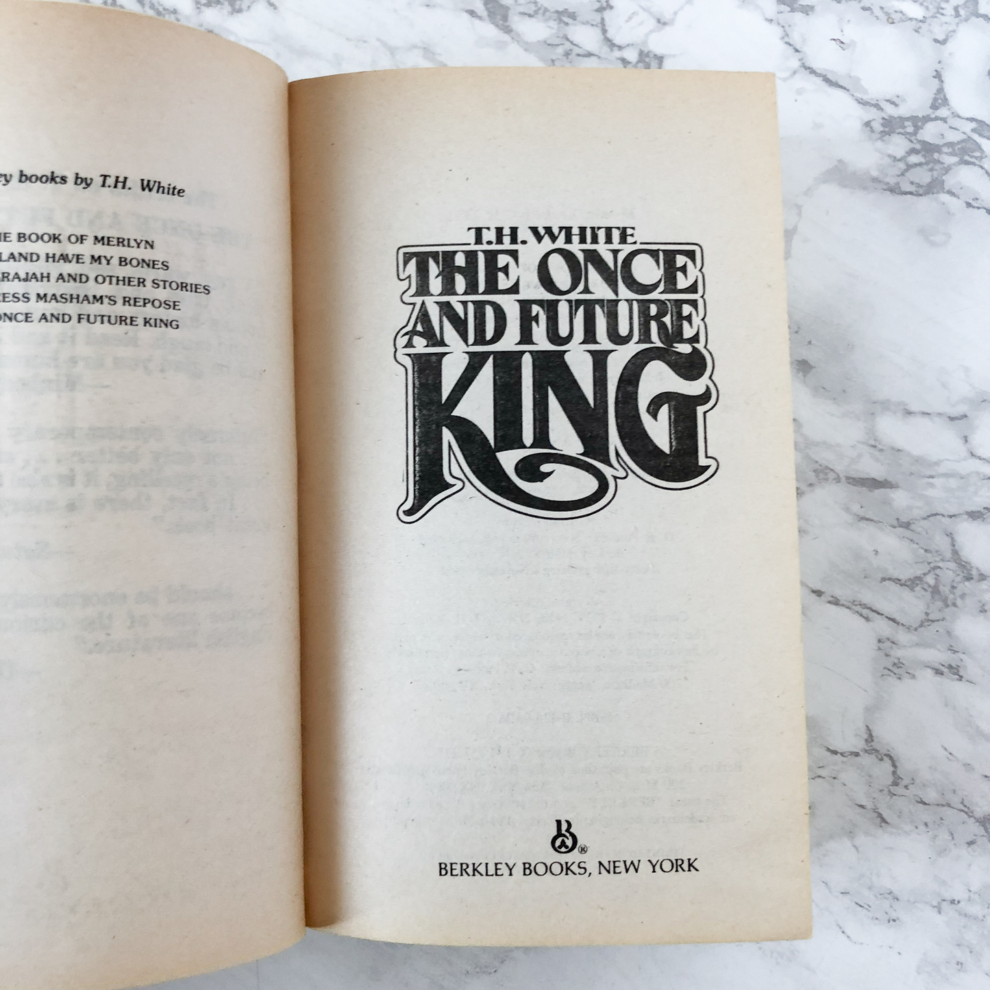 The Once and Future King by T.H. White [1986 PAPERBACK] - Bookshop Apocalypse