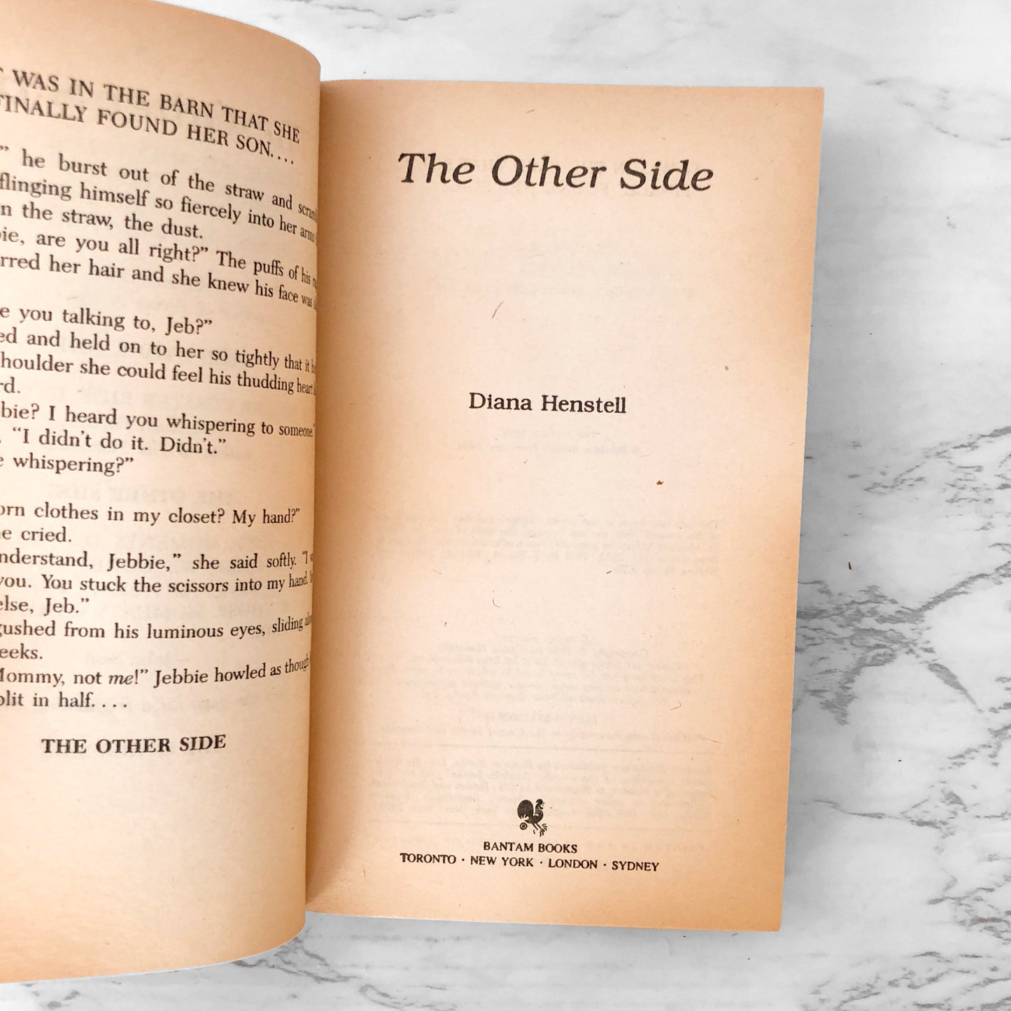 The Other Side by Diana Henstrell [1984 PAPERBACK]