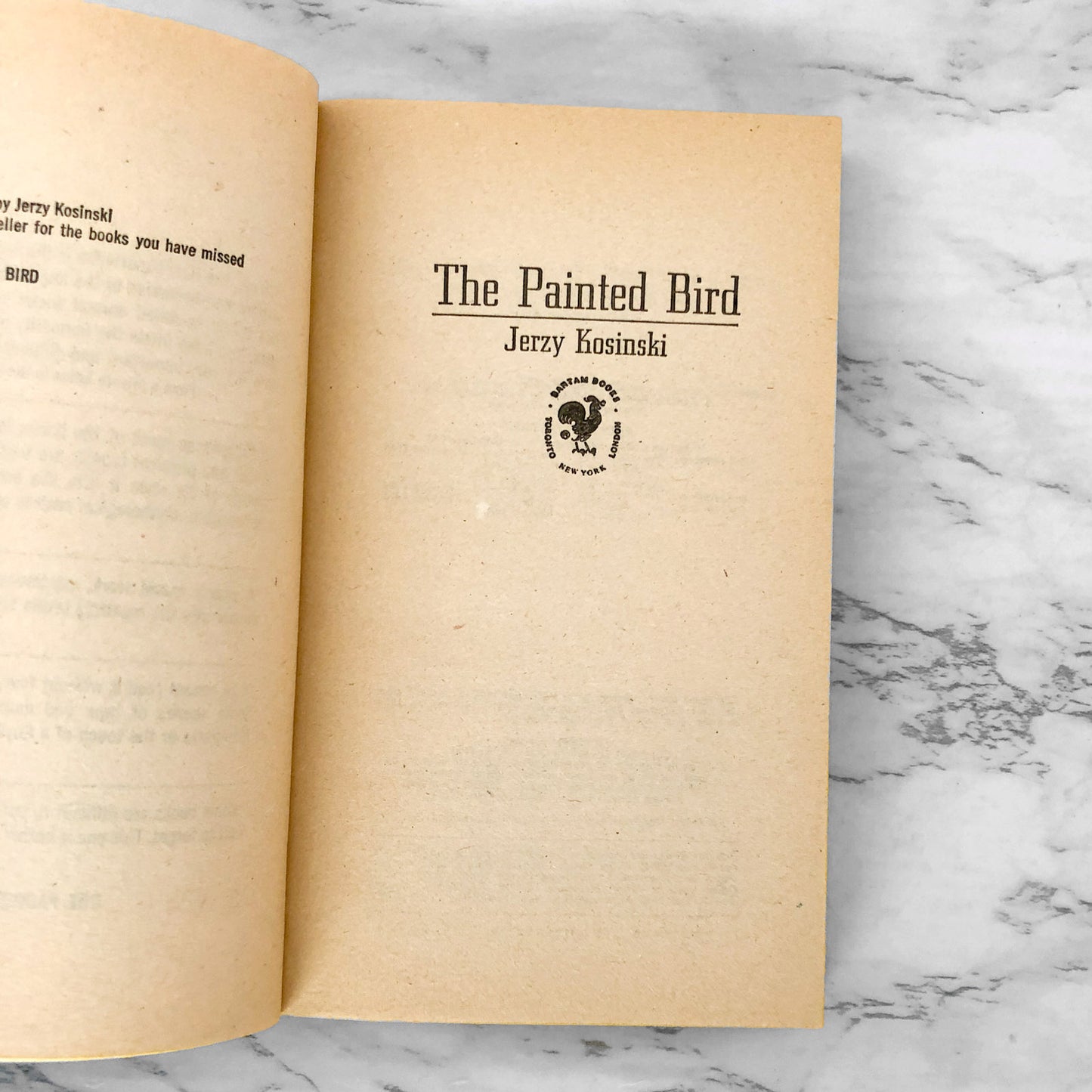 The Painted Bird by Jerzy Kosinski [1976 PAPERBACK]