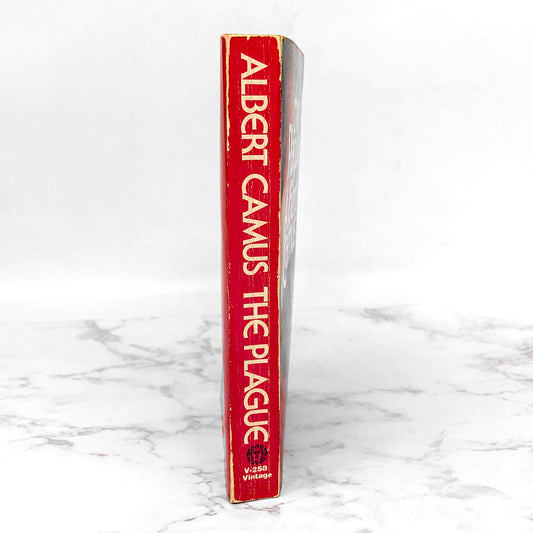The Plague by Albert Camus [1972 PAPERBACK] • Vintage Books