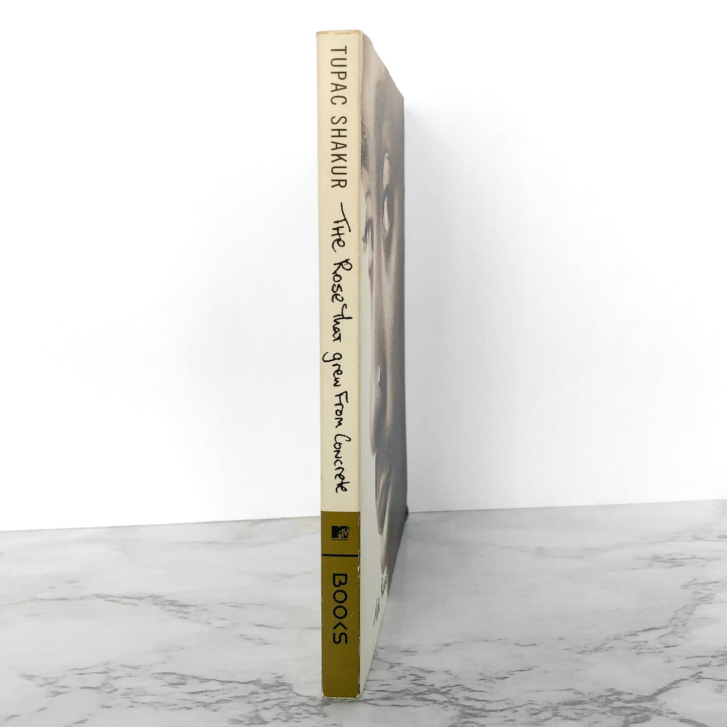 The Rose That Grew from Concrete by Tupac Shakur [TRADE PAPERBACK]