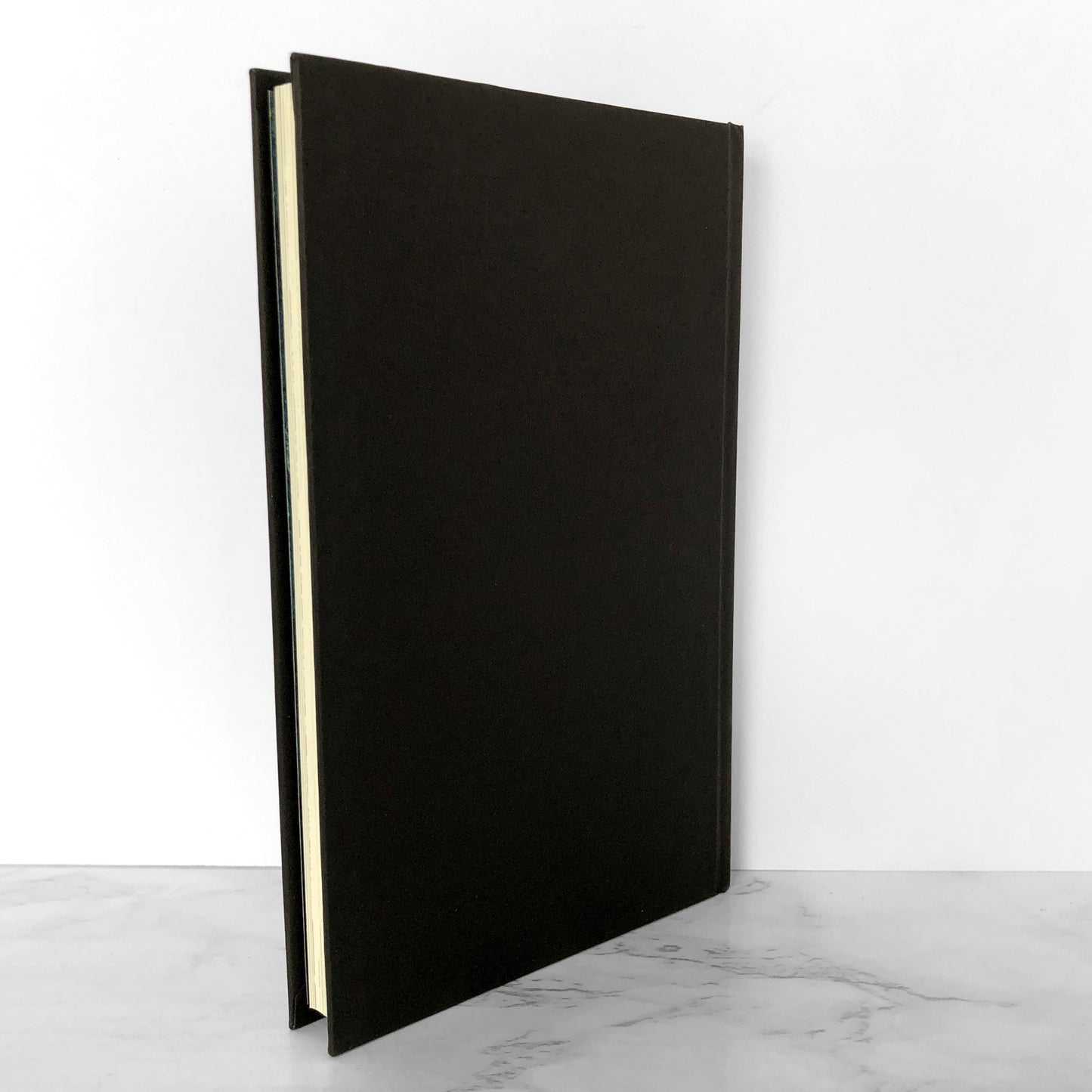 The Slow Regard of Silent Things by Patrick Rothfuss [FIRST EDITION] 2014 • DAW