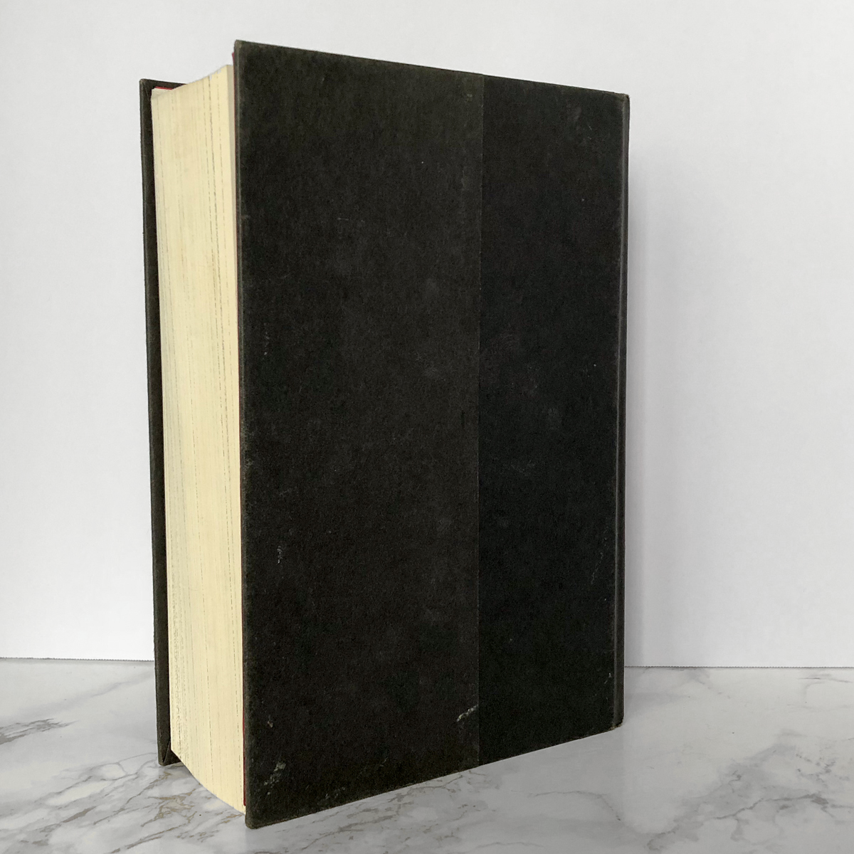 The Stand by Stephen King [THOMAS HOLDORF EDITION] - Bookshop Apocalypse