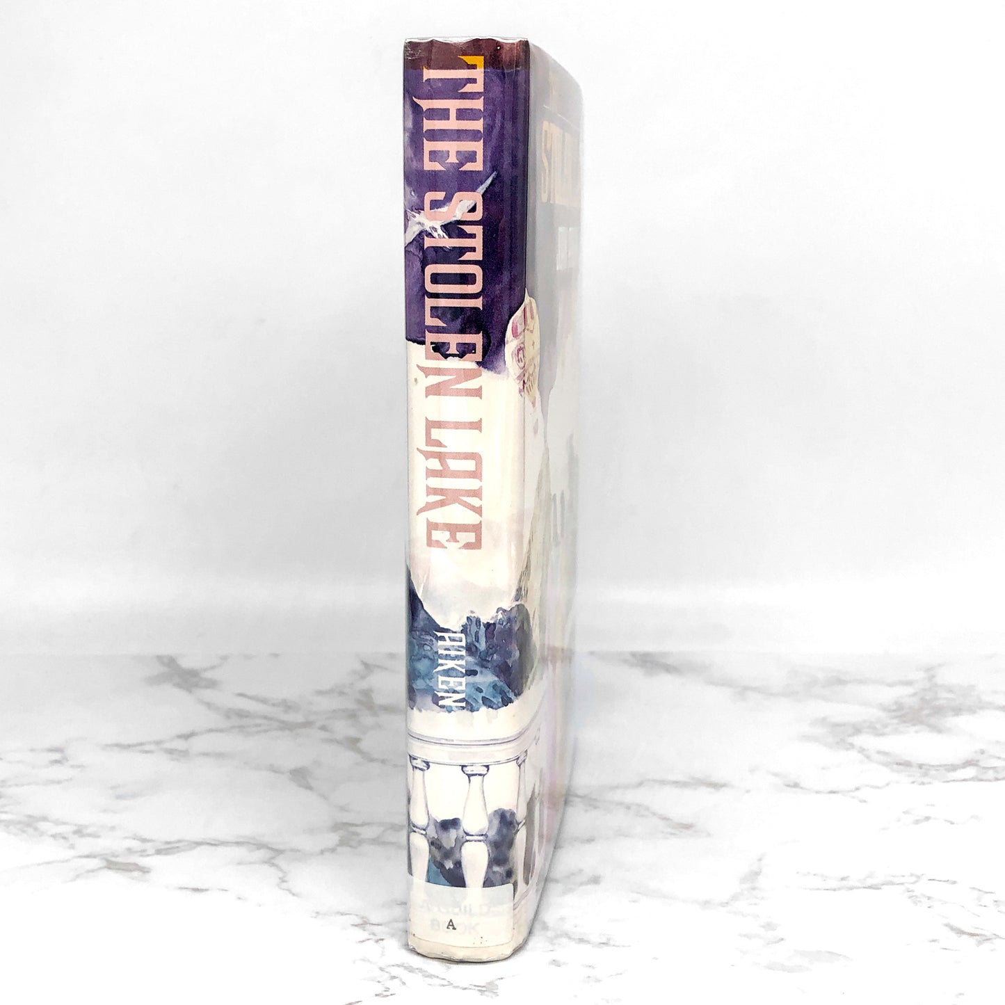 The Stolen Lake by Joan Aiken [1981 HARDCOVER] • Delacorte