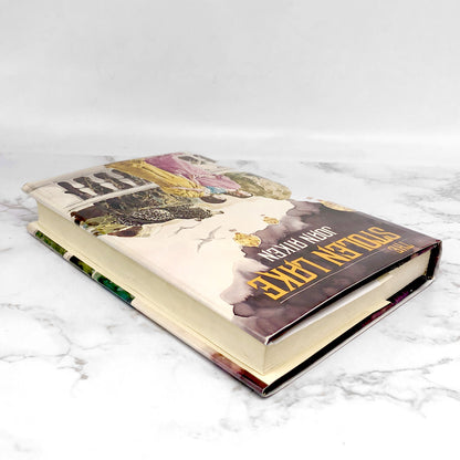 The Stolen Lake by Joan Aiken [1981 HARDCOVER] • Delacorte