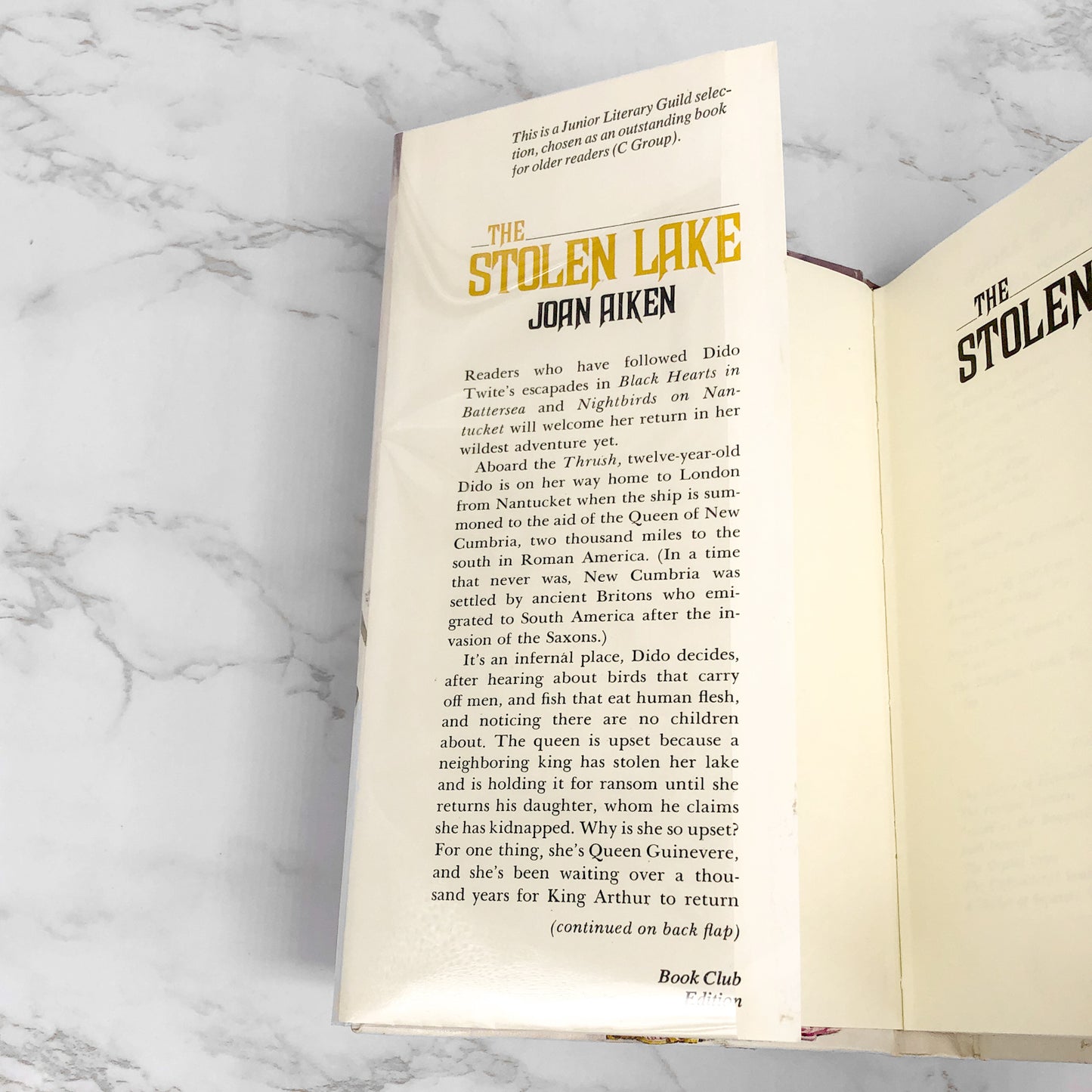 The Stolen Lake by Joan Aiken [1981 HARDCOVER] • Delacorte