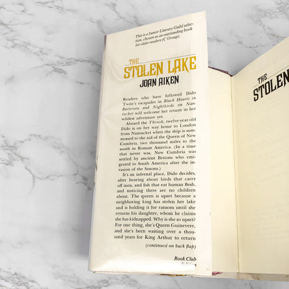 The Stolen Lake by Joan Aiken [1981 HARDCOVER] • Delacorte