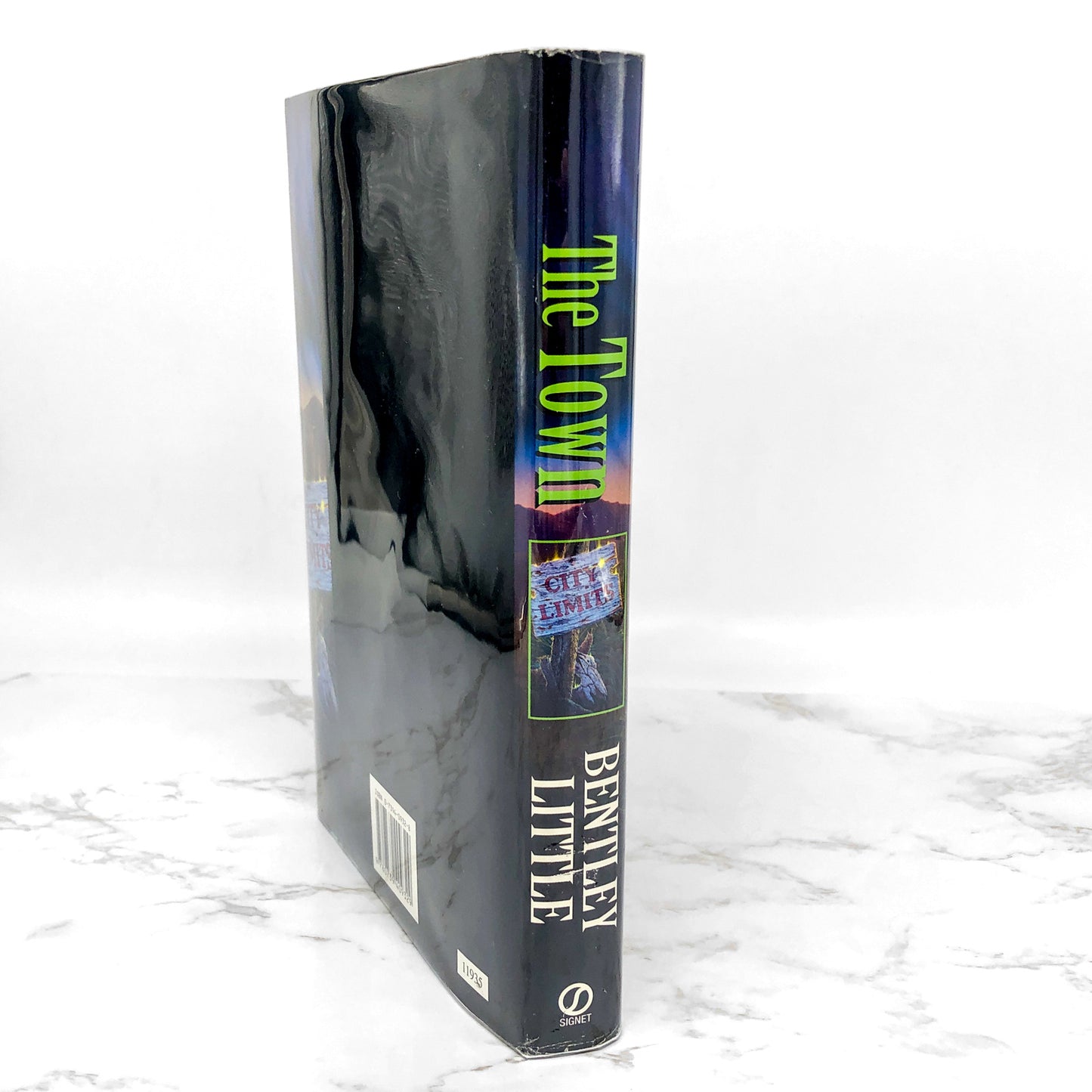 The Town by Bentley Little [FIRST EDITION HARDCOVER] 2000