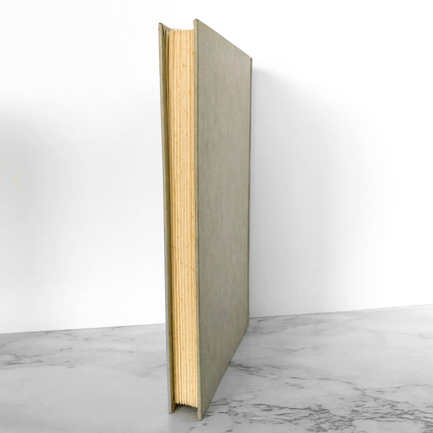 The Vision by Dean Koontz [FIRST BOOK CLUB EDITION / 1977]