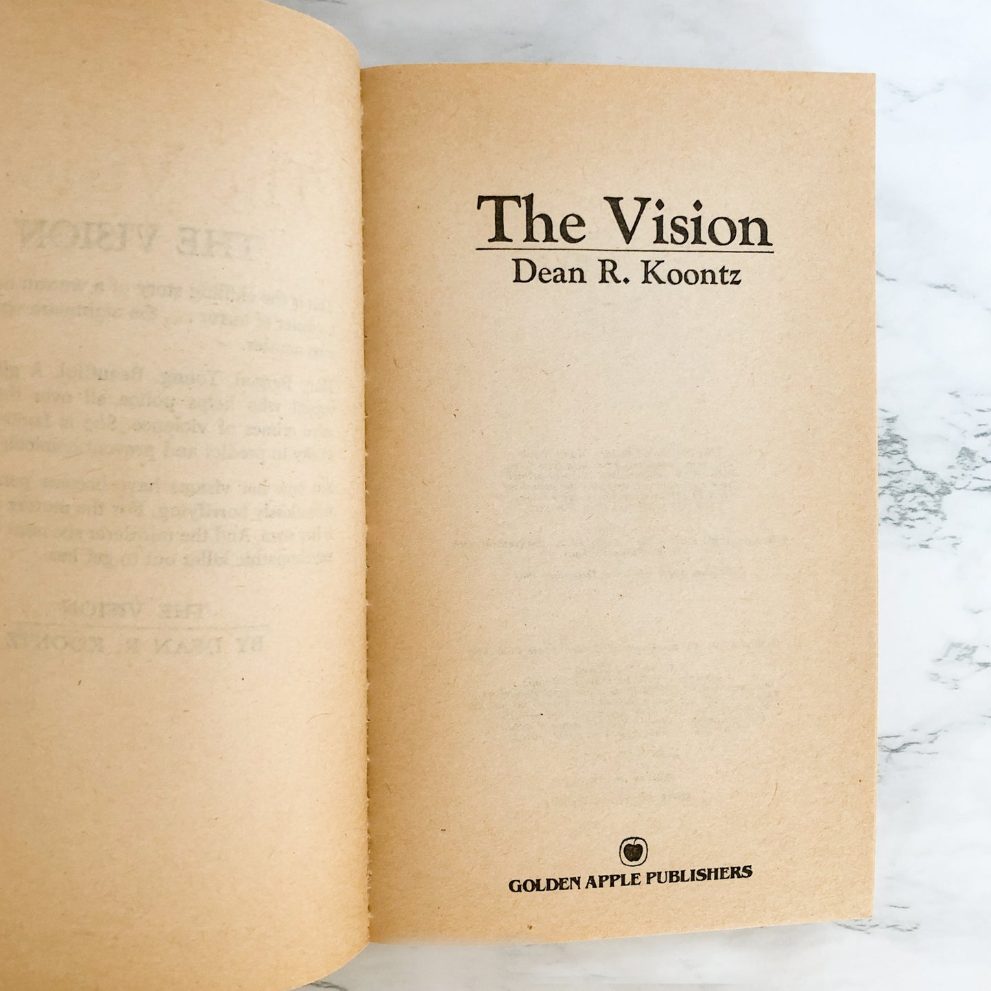 The Vision by Dean Koontz [1984 PAPERBACK]