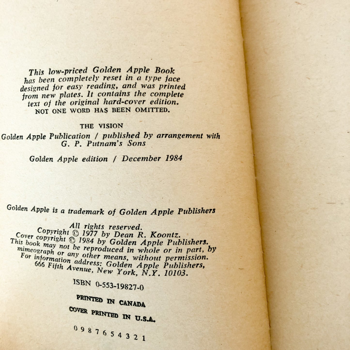 The Vision by Dean Koontz [1984 PAPERBACK]
