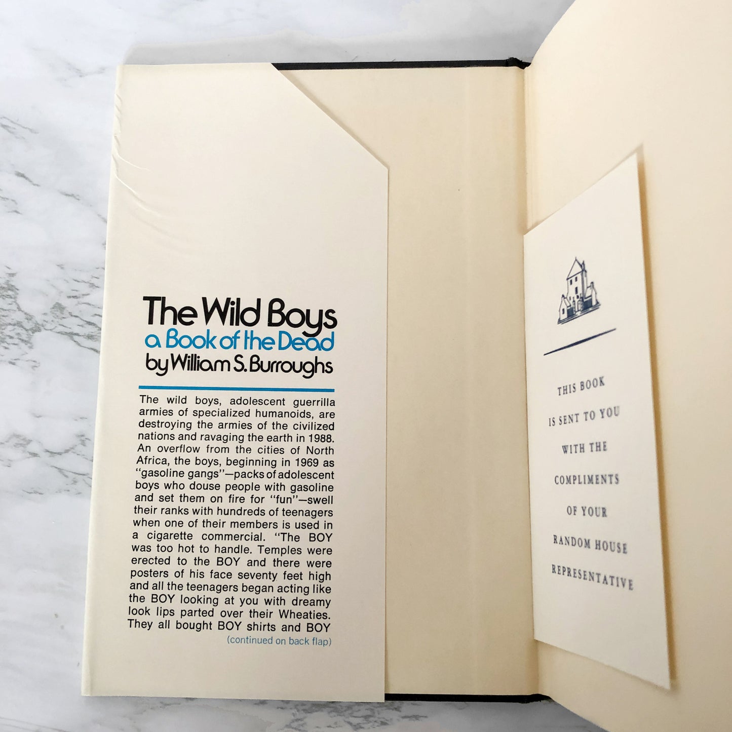 The Wild Boys: A Book of the Dead by William S. Burroughs [FIRST EDITION] 1971 • The Grove Presss