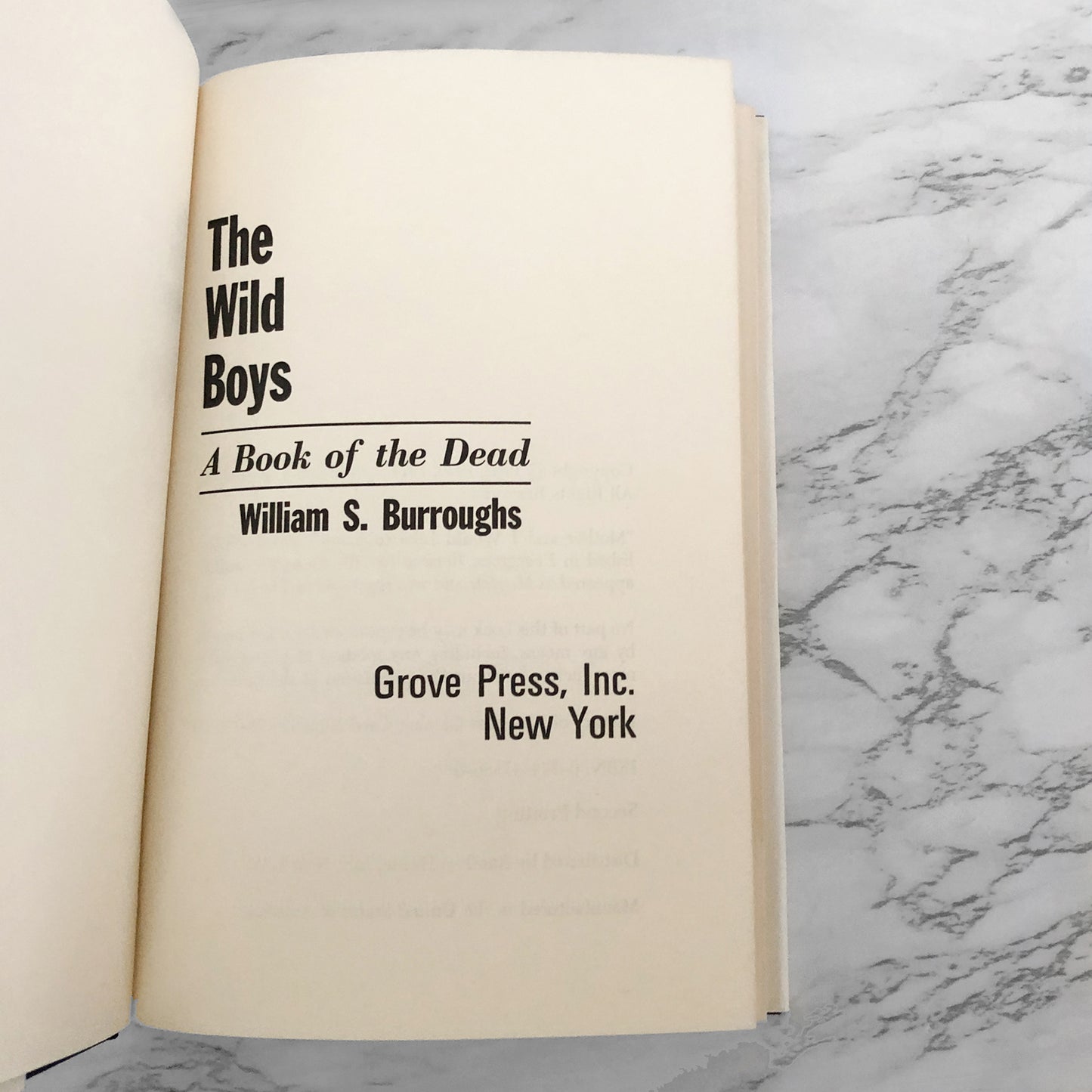 The Wild Boys: A Book of the Dead by William S. Burroughs [FIRST EDITION] 1971 • The Grove Presss