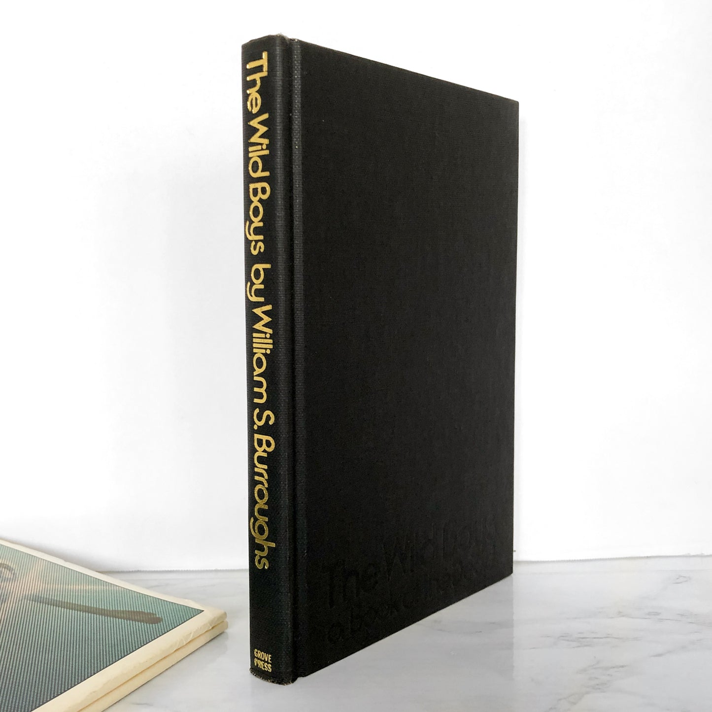 The Wild Boys: A Book of the Dead by William S. Burroughs [FIRST EDITION] 1971 • The Grove Presss