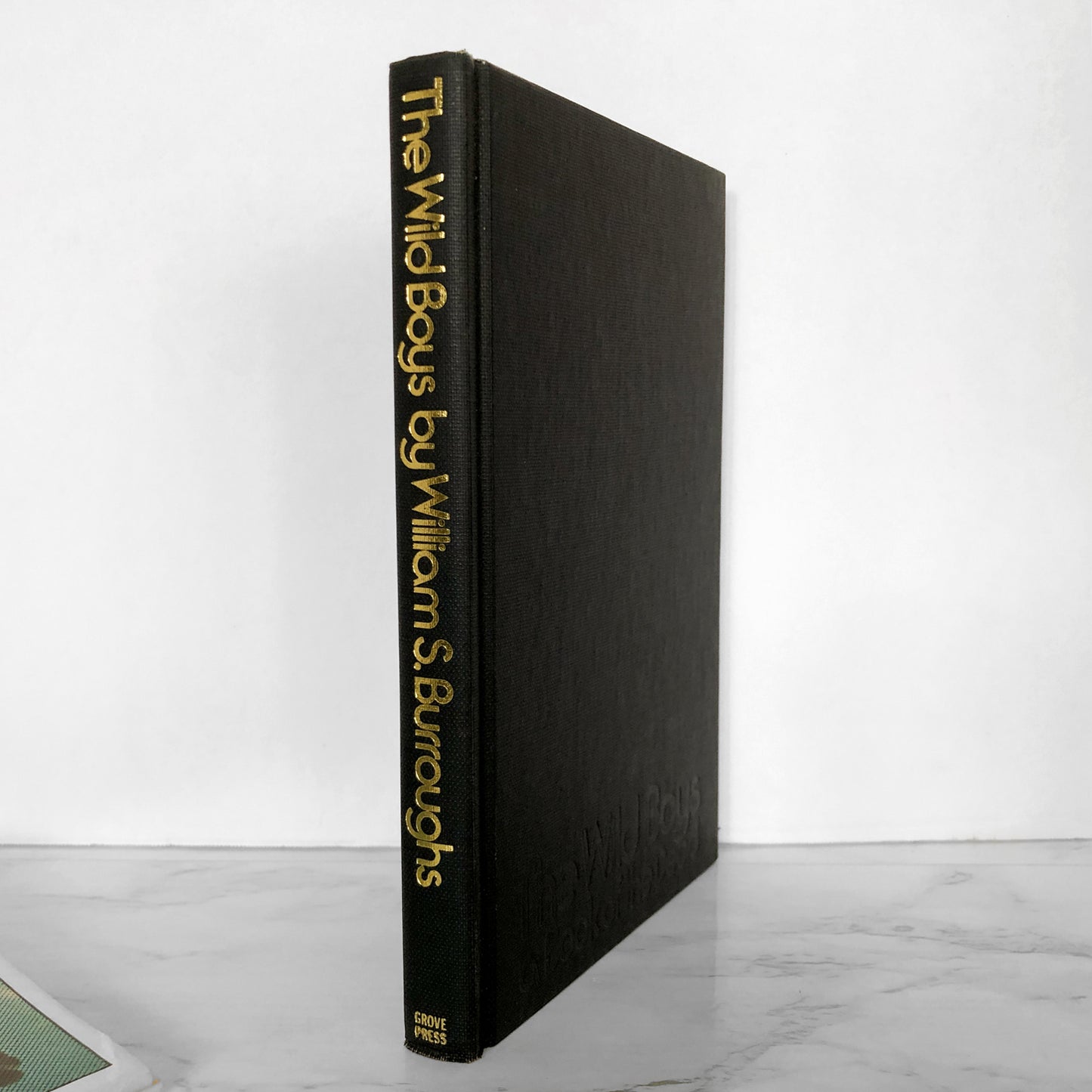 The Wild Boys: A Book of the Dead by William S. Burroughs [FIRST EDITION] 1971 • The Grove Presss