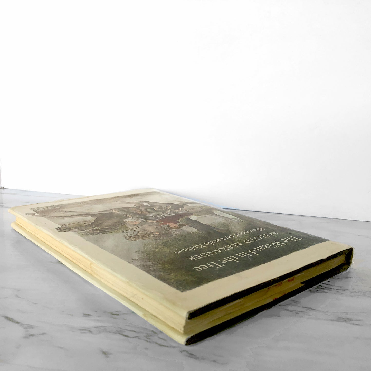 The Wizard in the Tree by Lloyd Alexander [FIRST EDITION / FIRST PRINTING] 1975