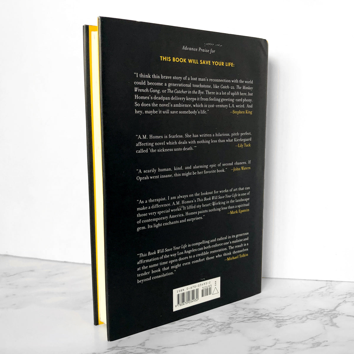 This Book Will Save Your Life by A.M. Homes [FIRST EDITION / FIRST PRINTING] - Bookshop Apocalypse