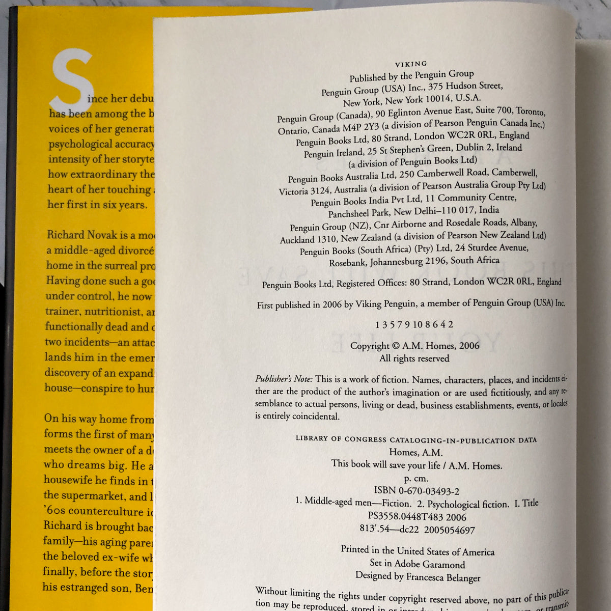 This Book Will Save Your Life by A.M. Homes [FIRST EDITION / FIRST PRINTING] - Bookshop Apocalypse
