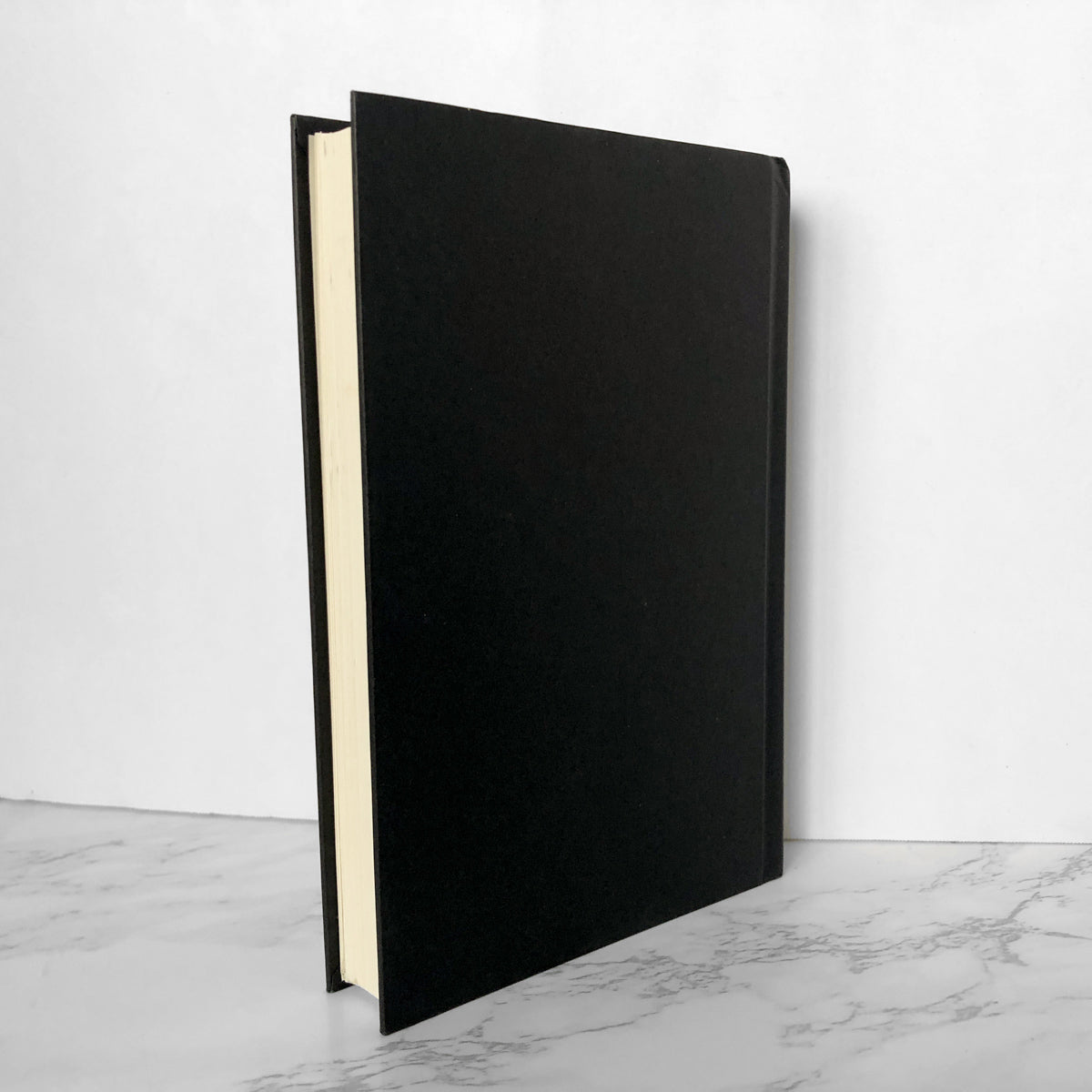This Book Will Save Your Life by A.M. Homes [FIRST EDITION / FIRST PRINTING] - Bookshop Apocalypse