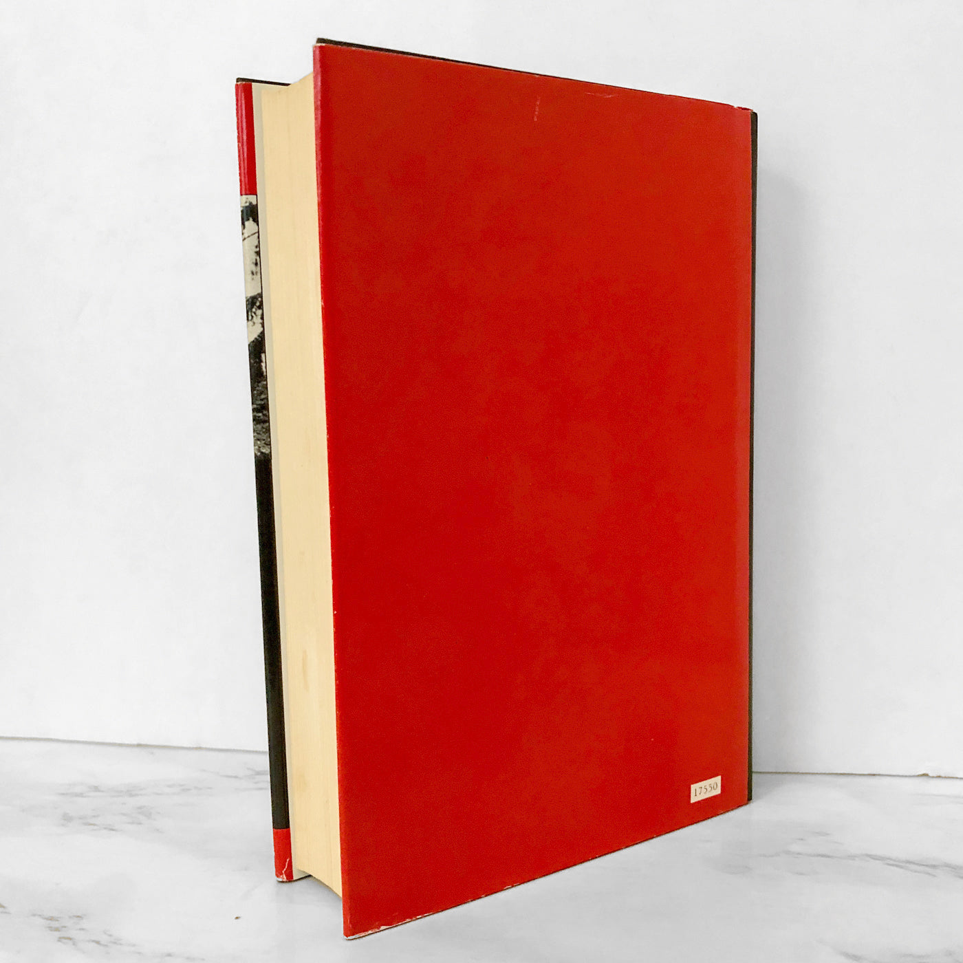 Thou Shalt Not Kill by Mary S. Ryzuk [HARDCOVER FIRST EDITION / 1990]