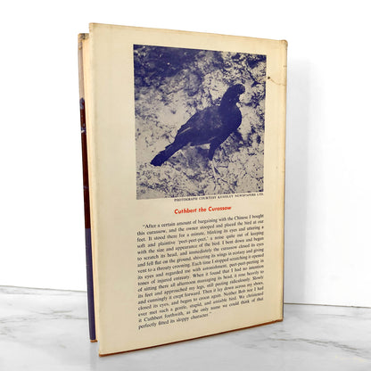 Three Tickets to Adventure by Gerald Durrell [FIRST EDITION / 1955]