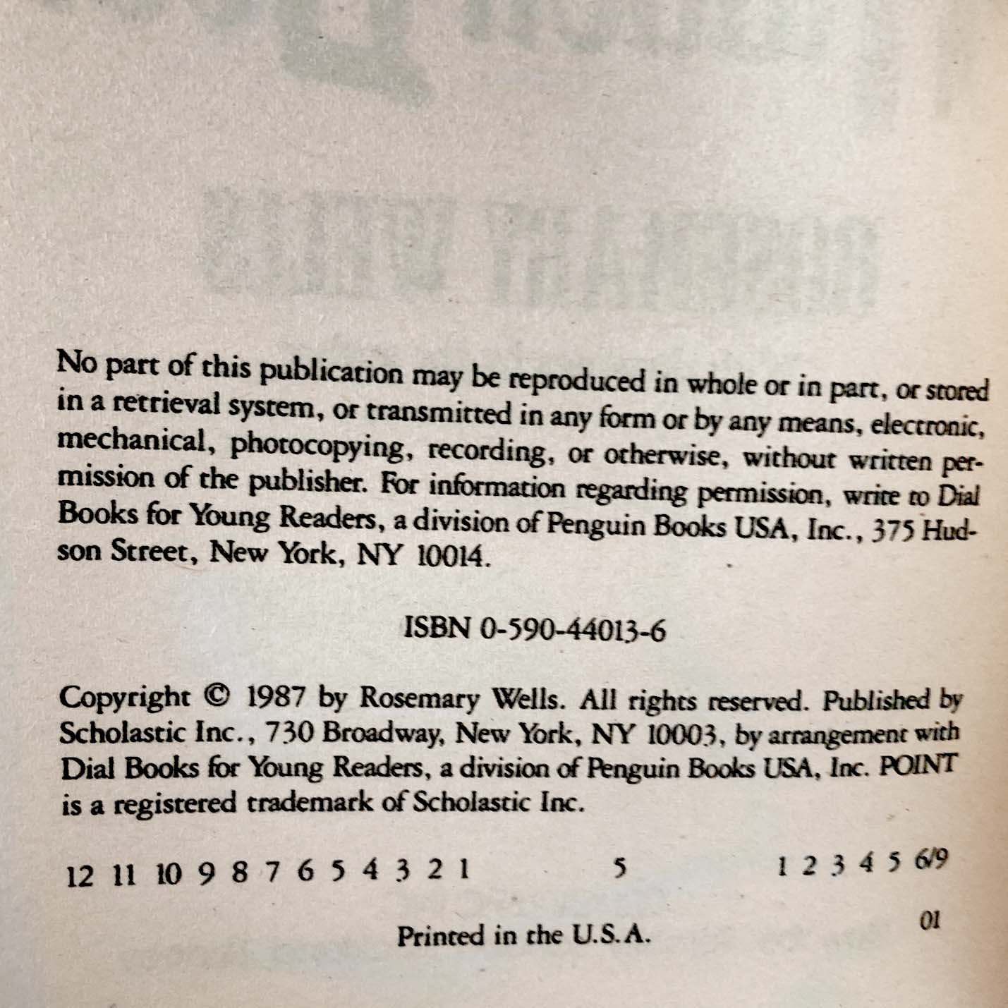 Through the Hidden Door by Rosemary Wells [1987 PAPERBACK] Point Horror