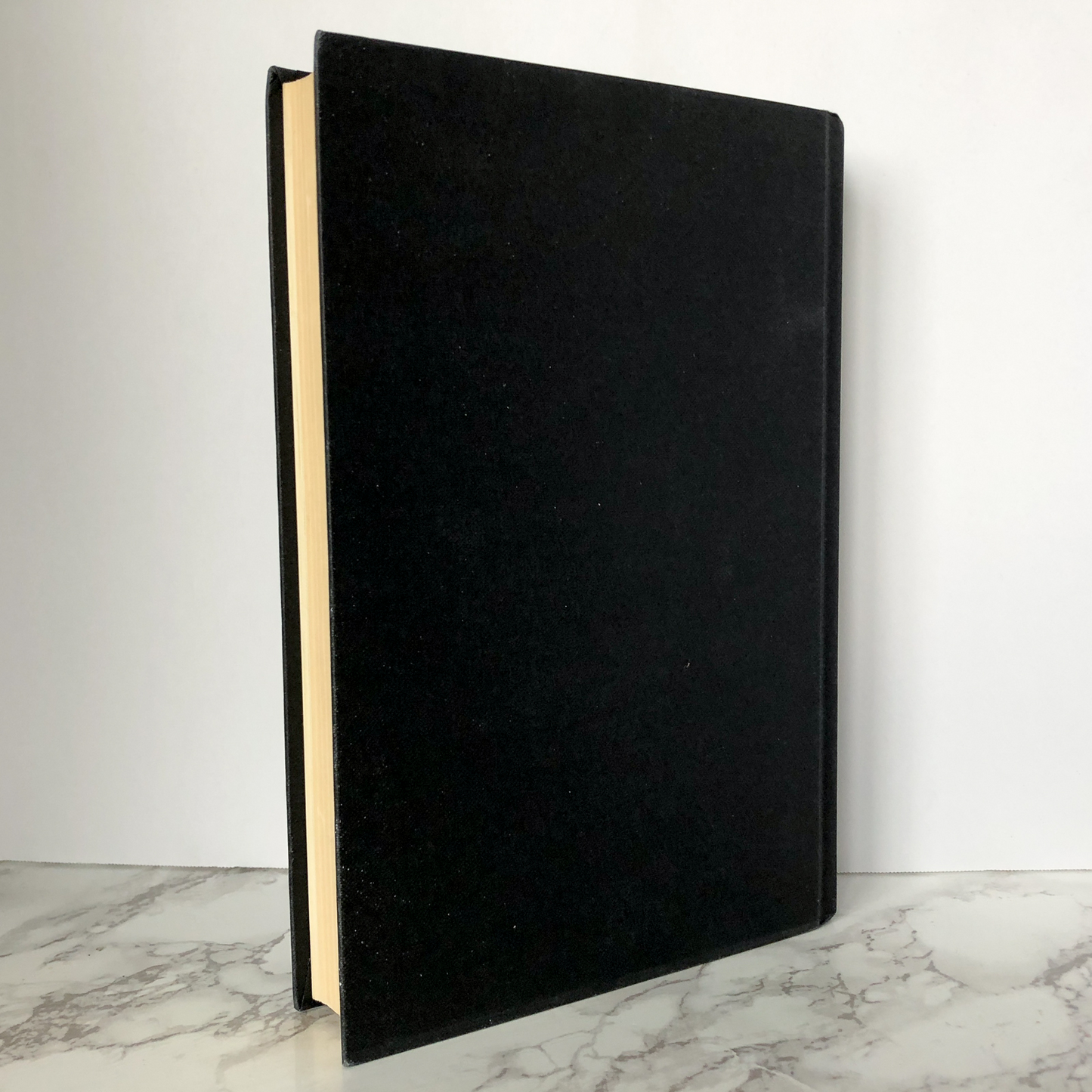 Thud! by Terry Pratchett [UK FIRST EDITION] - Bookshop Apocalypse