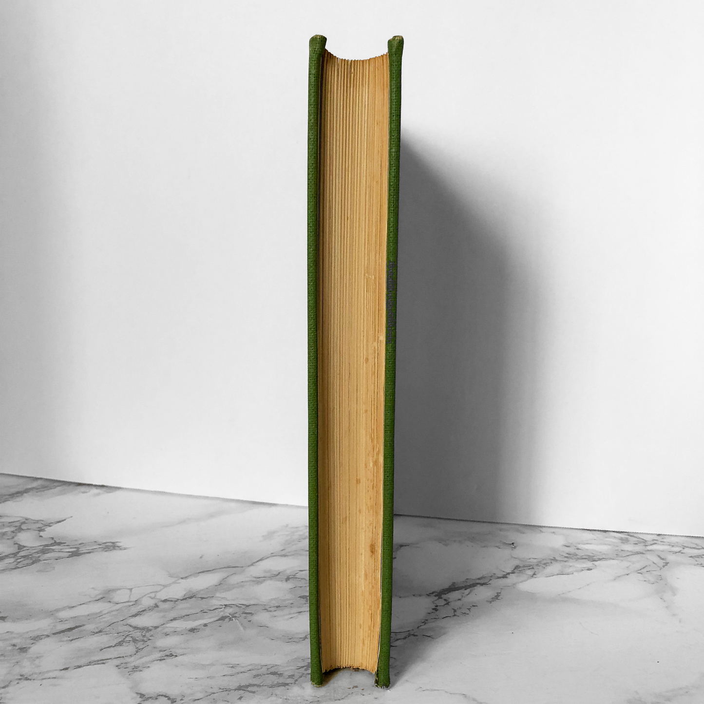 The Tibetan Book of the Dead by W.Y. Evans Wentz [THIRD EDITION / 1965] - Bookshop Apocalypse