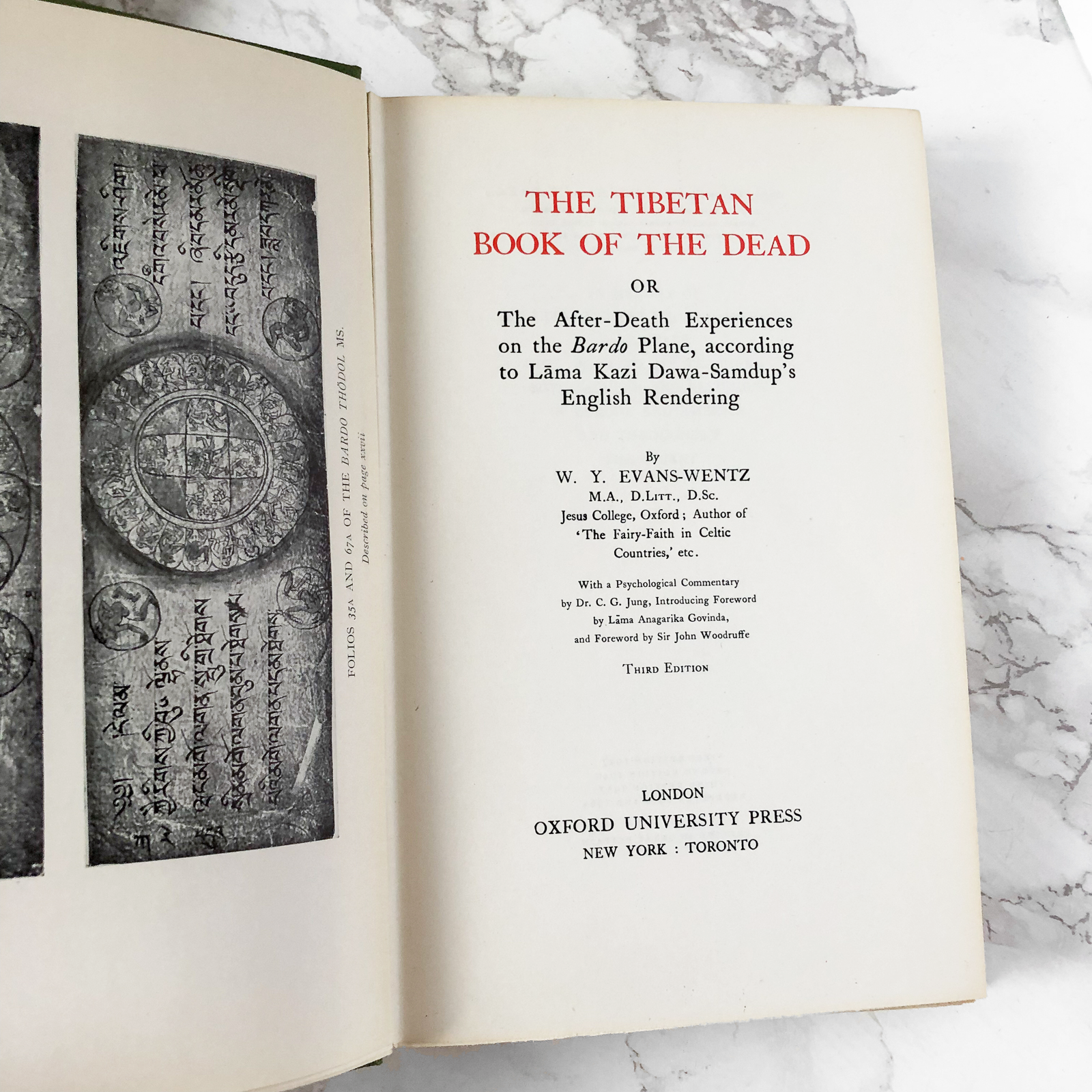 The Tibetan Book of the Dead by W.Y. Evans Wentz [THIRD EDITION / 1965] - Bookshop Apocalypse