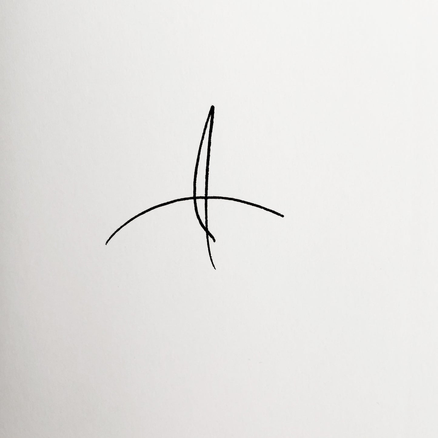 Toil & Trouble by Augusten Burroughs SIGNED! [FIRST EDITION] 2019 • St. Martin's Press