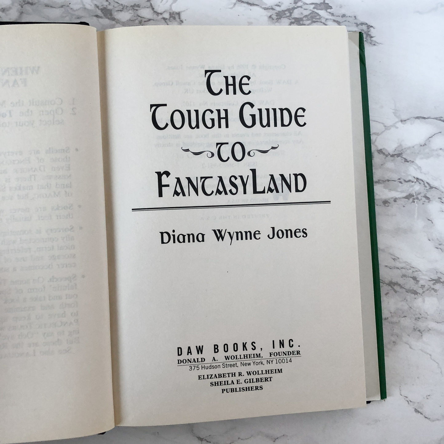 The Tough Guide to FantasyLand by Diana Wynne Jones [FIRST EDITION] - Bookshop Apocalypse