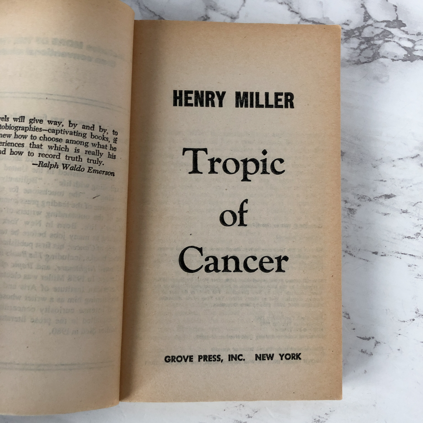 Tropic of Cancer by Henry Miller [1982 PAPERBACK] - Bookshop Apocalypse