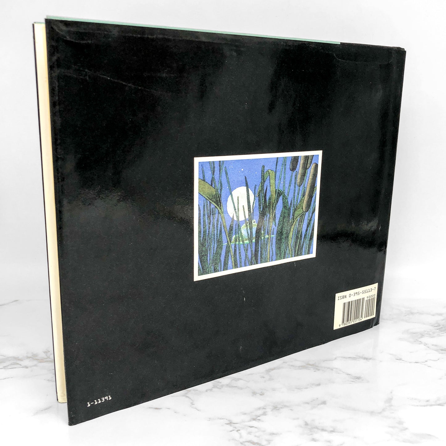 Tuesday by David Wiesner [FIRST EDITION] 1991