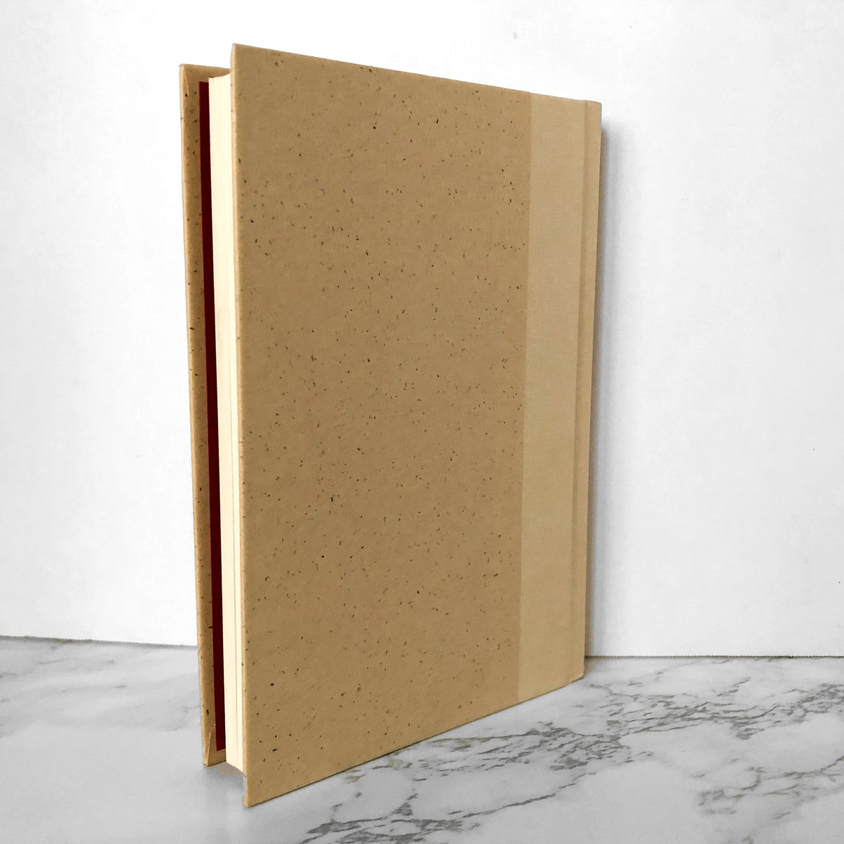 Tuesdays With Morrie by Mitch Albom [FIRST EDITION] - Bookshop Apocalypse