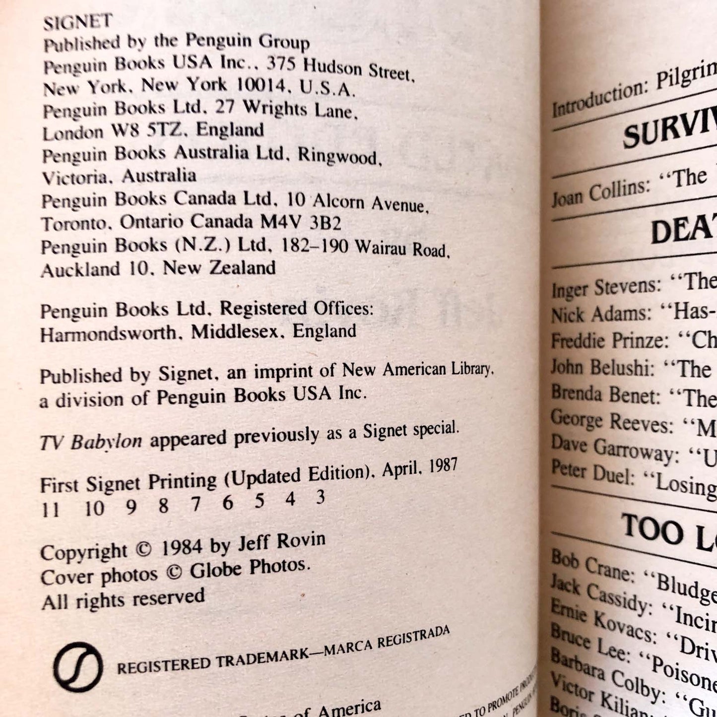 TV Babylon by Jeff Rovin [1987 PAPERBACK]