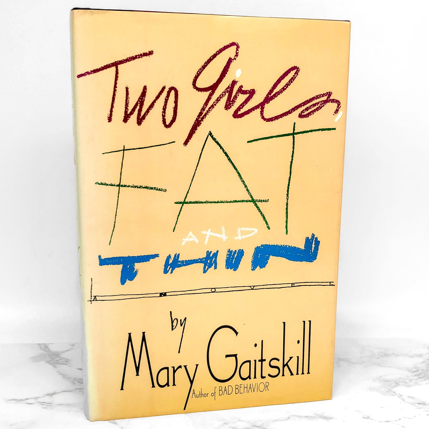 Two Girls Fat and Thin by Mary Gaitskill [FIRST EDITION • FIRST PRINTING] 1991 • Poseidon Press