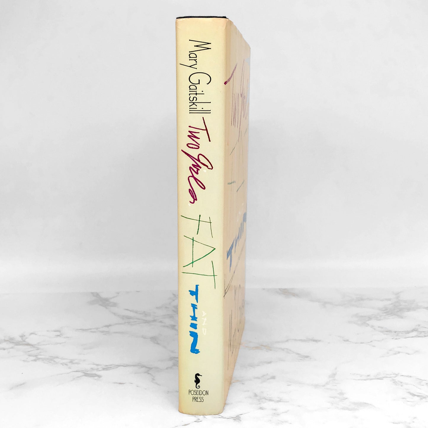 Two Girls Fat and Thin by Mary Gaitskill [FIRST EDITION • FIRST PRINTING] 1991 • Poseidon Press