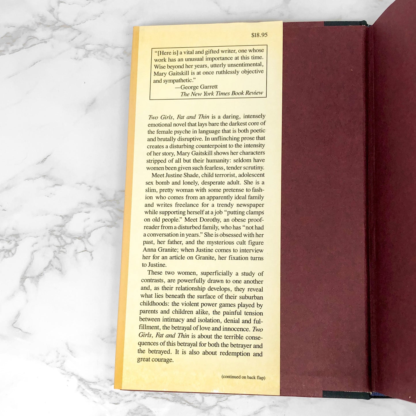 Two Girls Fat and Thin by Mary Gaitskill [FIRST EDITION • FIRST PRINTING] 1991 • Poseidon Press