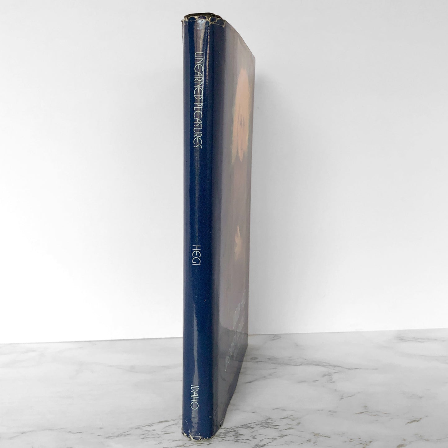 Unearned Pleasures & Other Stories by Ursula Hegi [FIRST EDITION / 1988]