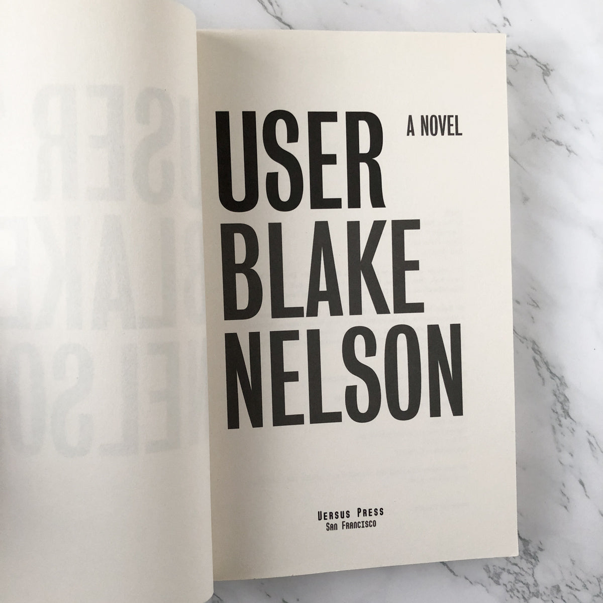 User by Blake Nelson [FIRST EDITION / FIRST PRINTING] - Bookshop Apocalypse