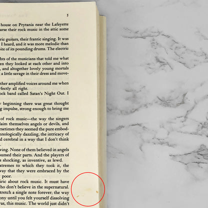 The Vampire Lestat by Anne Rice [FIRST EDITION] 14th Printing  ❧ 1992